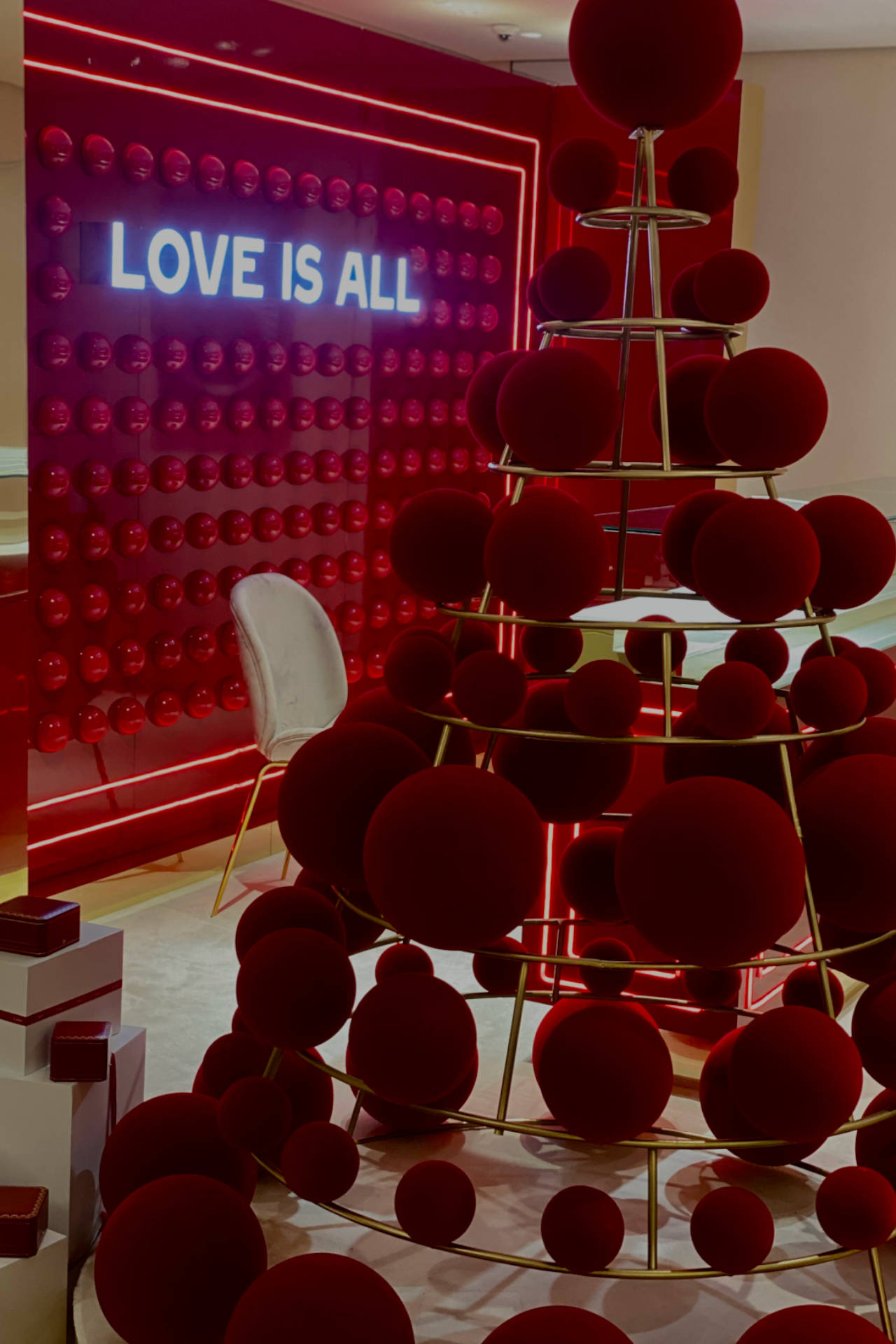 Product Launch in Mexico